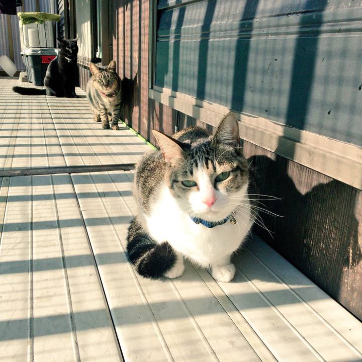 F76fd1f8 cd33 40b5 9446 ceb935171ec5 1513381615986