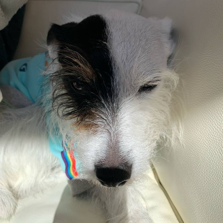 F770265e e344 4f53 93ce f72d12e50181 1644984783481