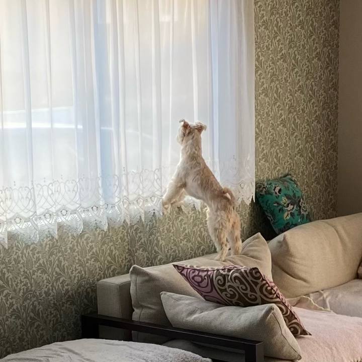 F7704076 4114 4d8d 9984 36ac8a064216 1610715904975