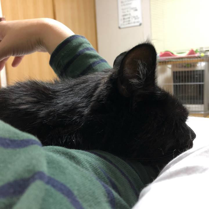 F7705859 6922 41c7 82ea 16a4927fe77f 1587819655396