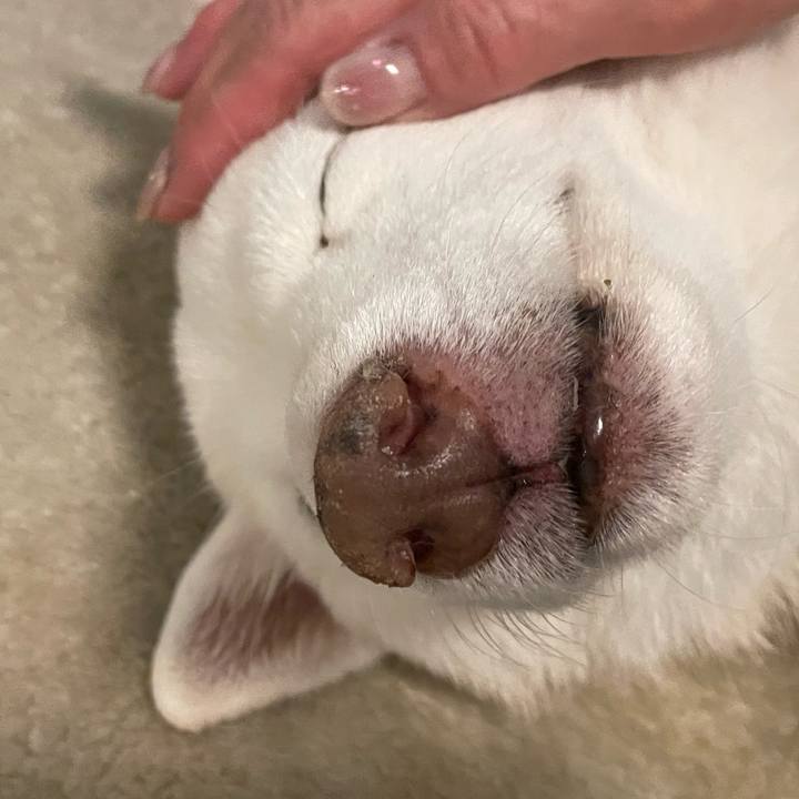 F7706c03 ec08 47d8 8093 cc0b6f647bf4 1758457443893