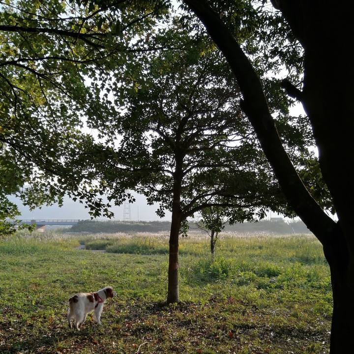 F7707f78 e84b 4a1b 823e 388ee53d088c 1604014744317