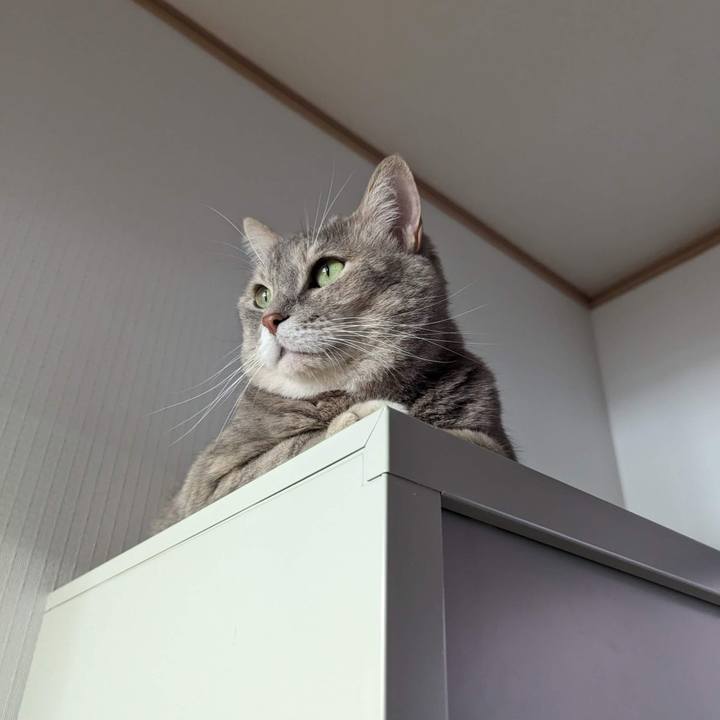 F7708d3e 4fc4 48fd 8599 6f1024e5cd17 1699329958101