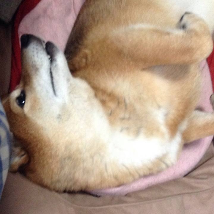 F770d857 d3bd 4c62 9f07 75460e5c5921 1523943091328