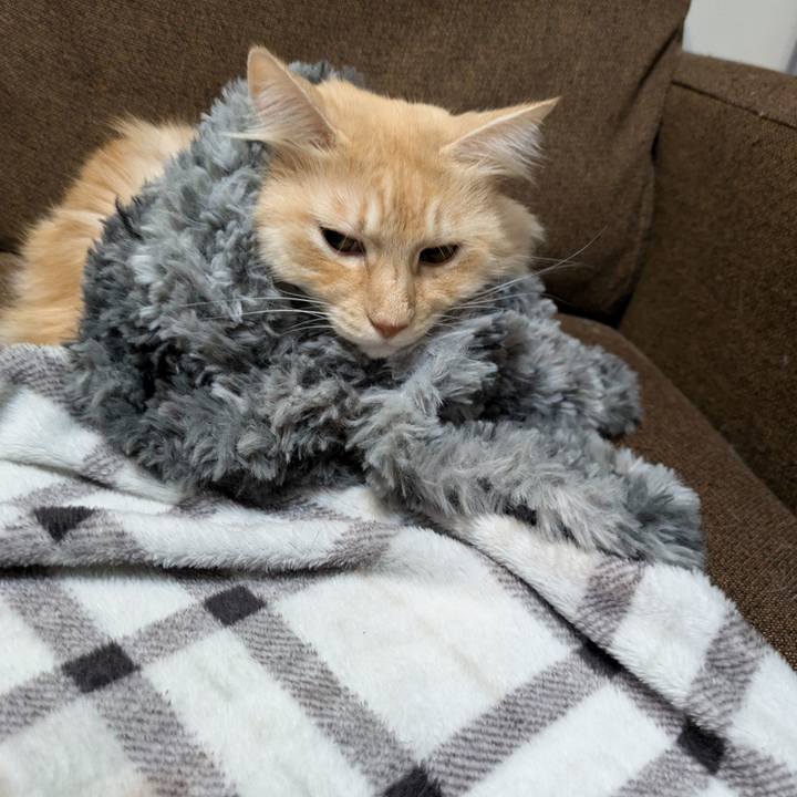 F7712dbd ea01 4a3c b7d7 c31806b32749 1730719946996