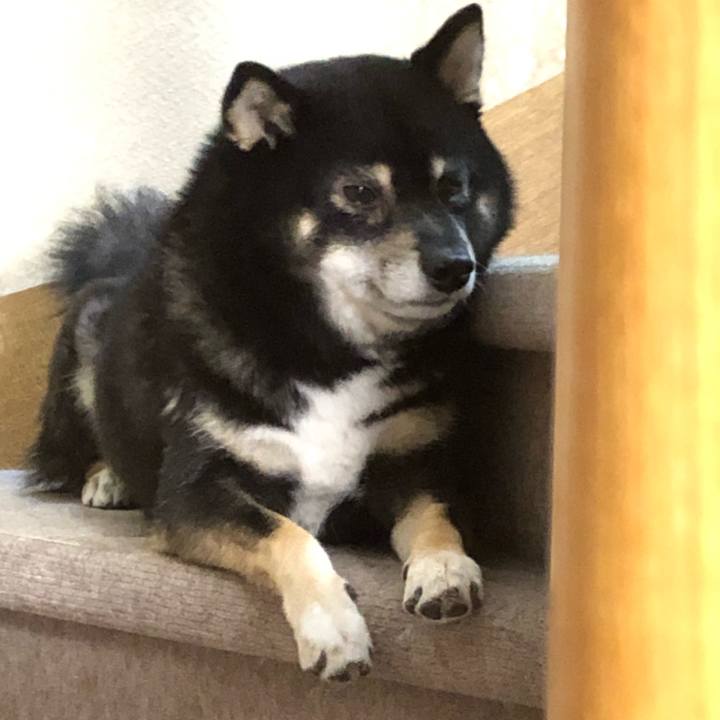 F7715aa6 07f2 4429 ac1e 4f56337d33f4 1542935426620