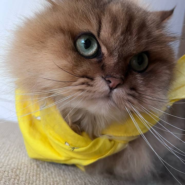 F7719499 a2de 407f b9f6 1af99411621a 1668817938540