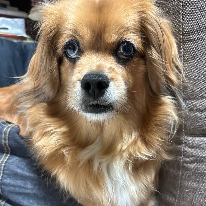 F771ad40 2d86 4e38 acef 80f5e2fd4aab 1683666612801