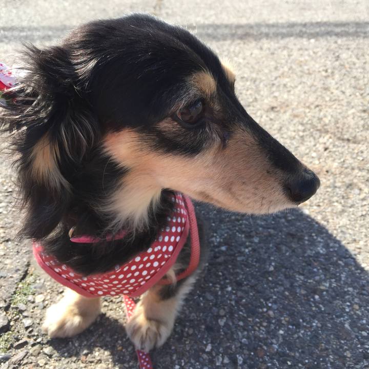 F771cee6 f69d 4adf 9ee9 8740aabc62a8 1519095793960