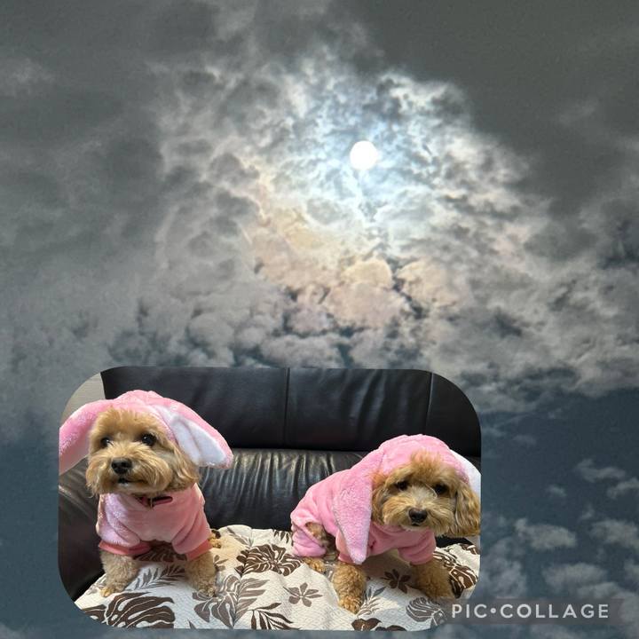 F771eac1 04f8 42e7 9750 e897db36e0ed 1726693962868