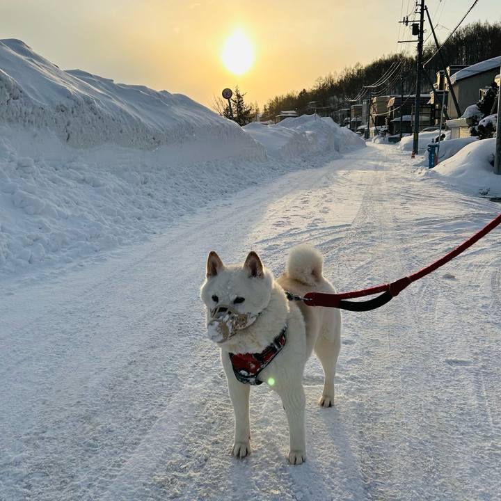 F7722514 8934 447e b6b4 644a9fdba73b 1709518134279