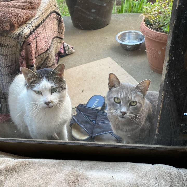 F7723353 a650 4e6d 8117 5ca910619f6e 1586075964713