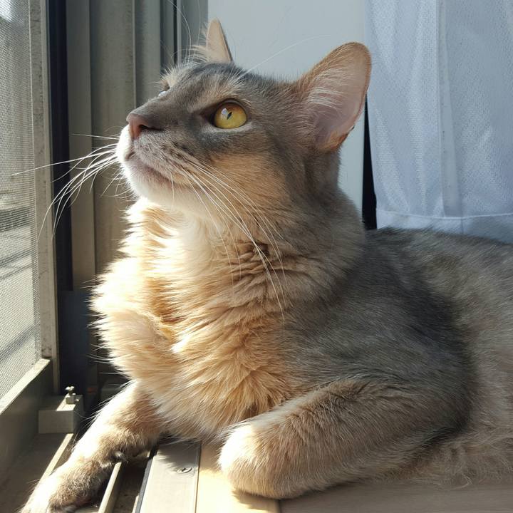 F7723815 db81 4b05 acb9 a10b7425cf8d 1524371387268