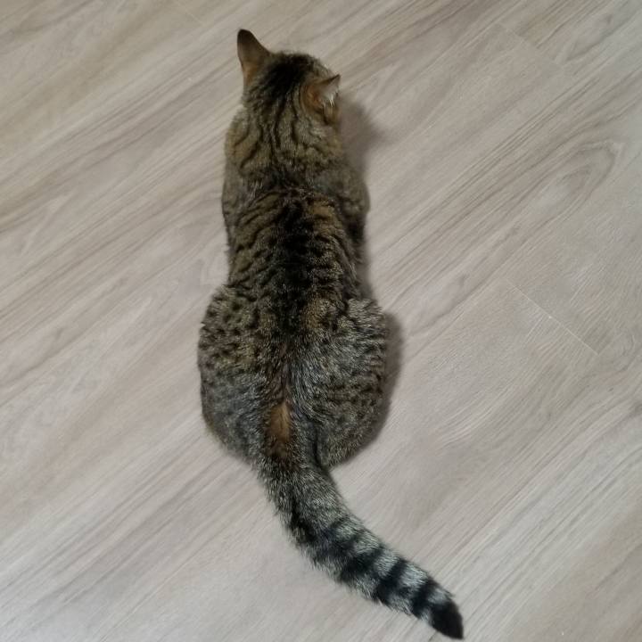 F7724c49 2528 4bdb b775 1ab33fe51f59 1553032465961