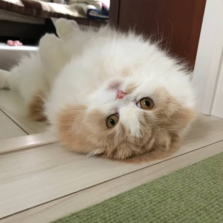 F7725e62 b86c 49a7 9549 e9c192b75893 1587128508951