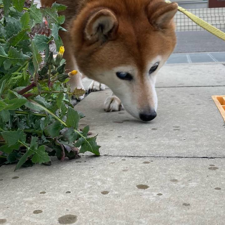 F7729f60 4342 425a b450 9fc0bceff52a 1710918787004