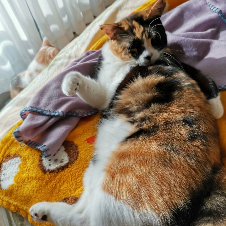 F772a9cc 6aac 425c 9f54 23b9c1550e1f 1673251288649