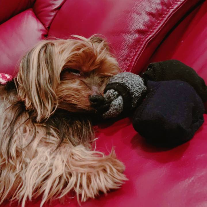 F772dcdc f0af 4a93 ba1a 39c24f32191b 1549542428602