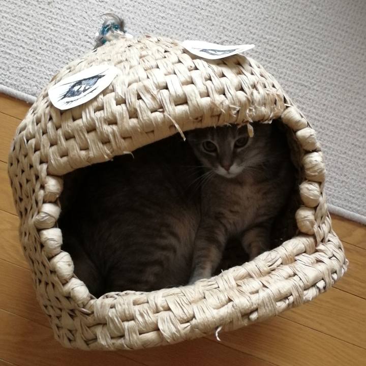 F772fa3a 1551 48a0 92cc 0d19fd6eba10 1546910047319