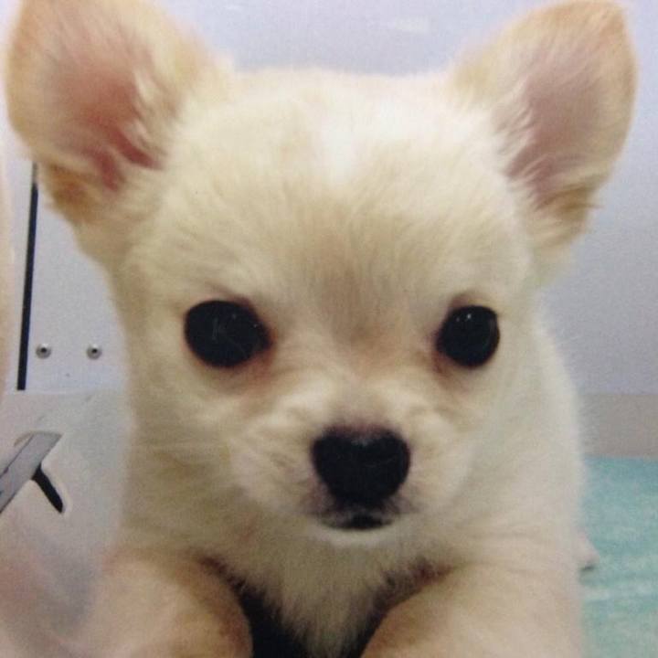 F773007e ab0a 49a3 8aaa 2d79d060707c 1521616936520