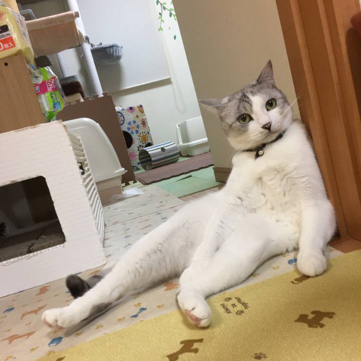 F7730ced 09aa 4505 8a9a 1b578ccd5217 1591233236944