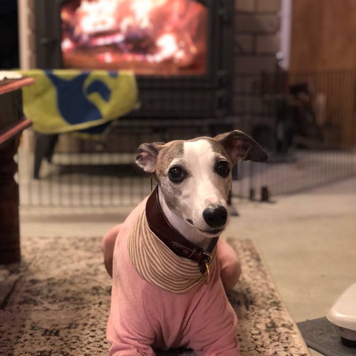 F77325c2 94f1 4a04 b489 743910f3960f 1514809870077