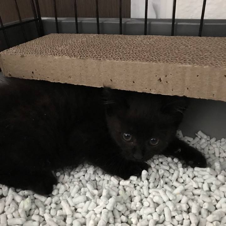 F7733a5c 4842 4777 b4be 6cbe366d7961 1658123830413