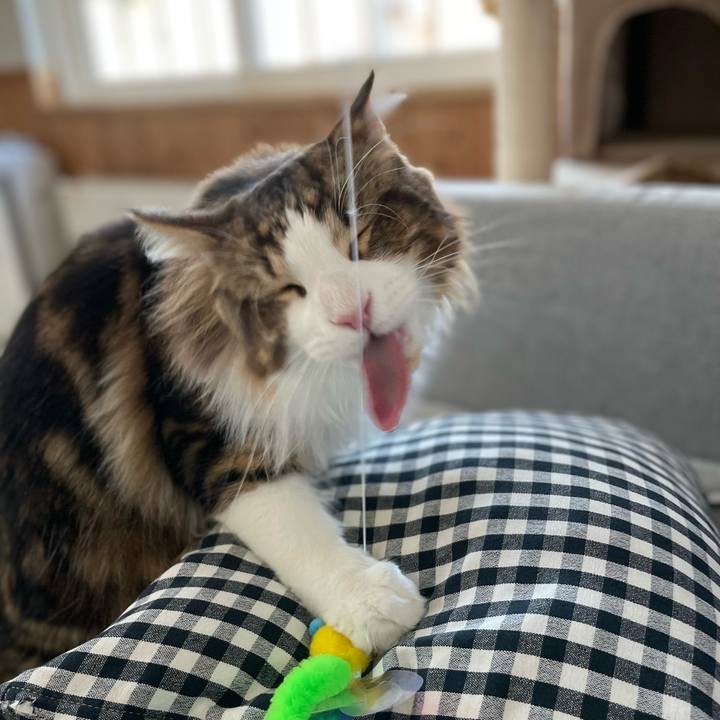 F7735d4c d720 47cd 9be6 4229d860a838 1647985426464