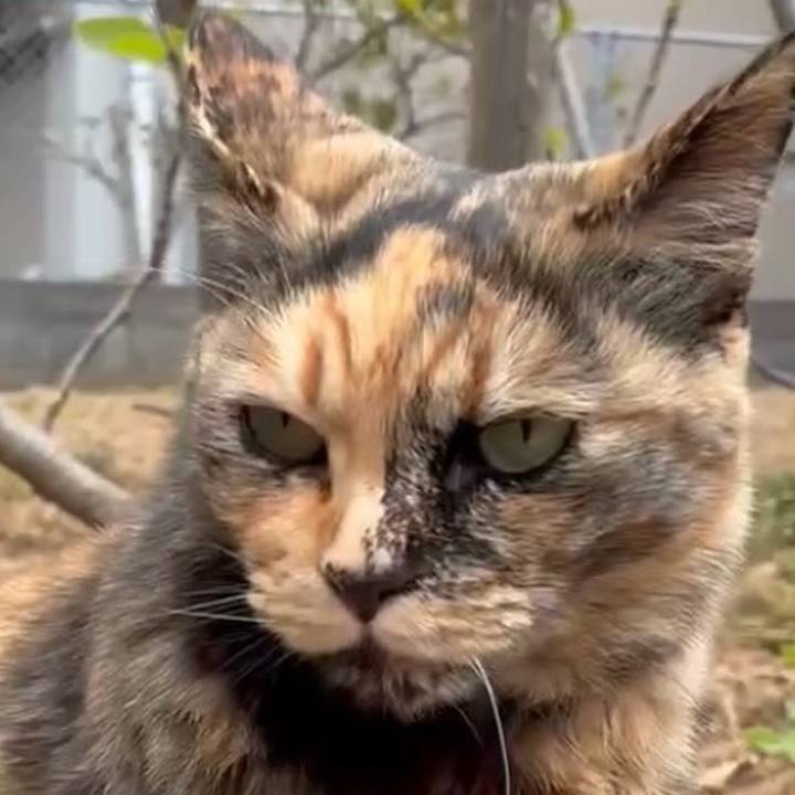 F77377ac aa50 45f8 862e 3bef63747415 1744855460259