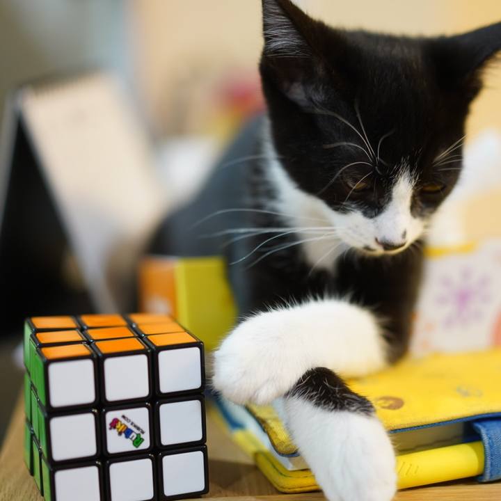 F7737892 82df 47e0 b1b6 39d1434ca6c4 1569488659122