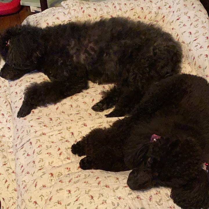 F77379e5 0e4c 4c15 94b6 59a7d9da0e7b 1580280241656