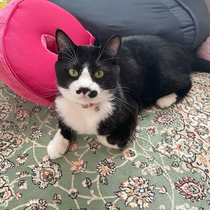 F773891a fa1a 4543 8967 73e33703d60f 1675209988729