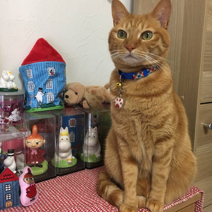 F773f86f 2b7b 4144 86ee 324c4ab239f5 1576158322516