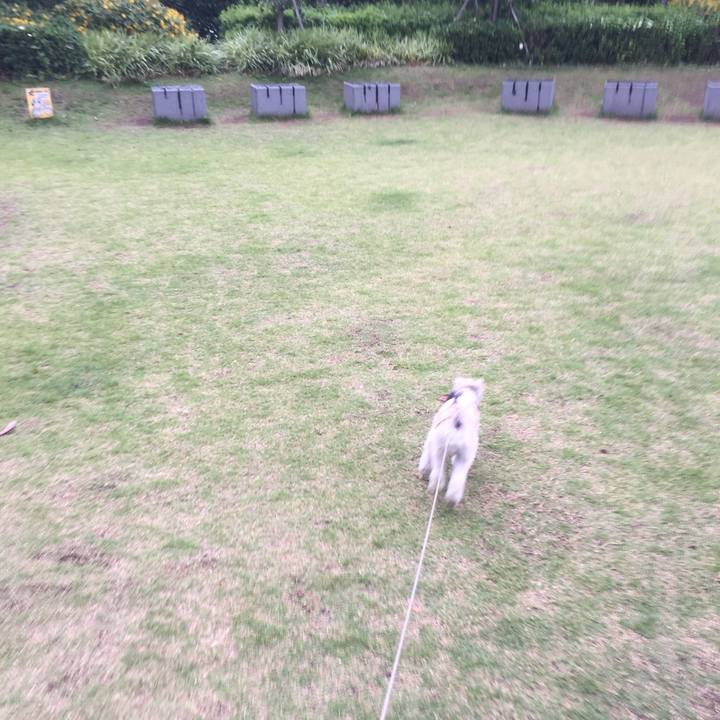 F7740038 2f91 46f8 a93f 46ae457dab88 1528620377229