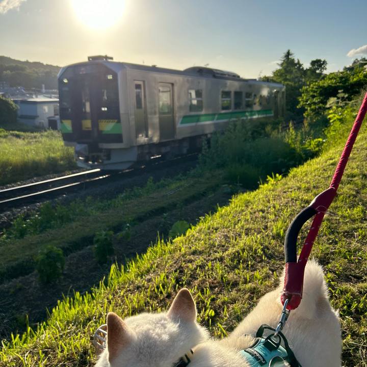 F774379a e560 4409 8df8 4422597be1a3 1687036008493