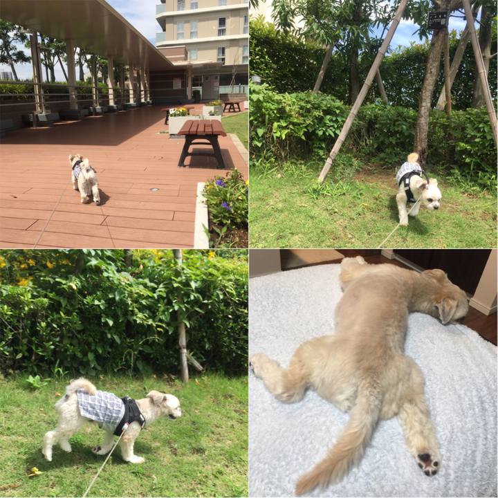 F7745496 da9d 4932 a140 3fa17b5b48d6 1528888072682