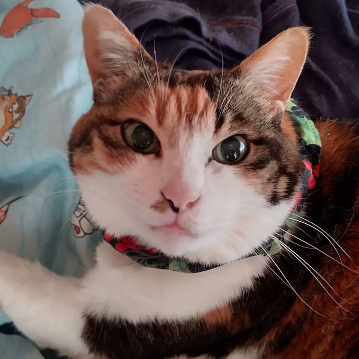 F774e587 c792 4423 8458 903ff0eba5a8 1650150422994