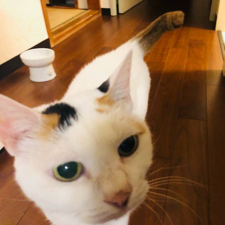 F774e845 5953 4a7b bd1e 1e159c8012f1 1760446687317