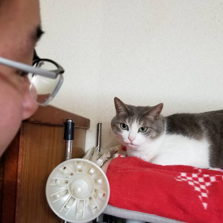 F774ecf9 f579 4ce6 af13 55ba03c79757 1640447642481