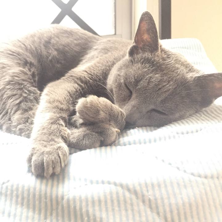 F7751769 f4bc 4fc8 acb4 8c064909207d 1557703404044