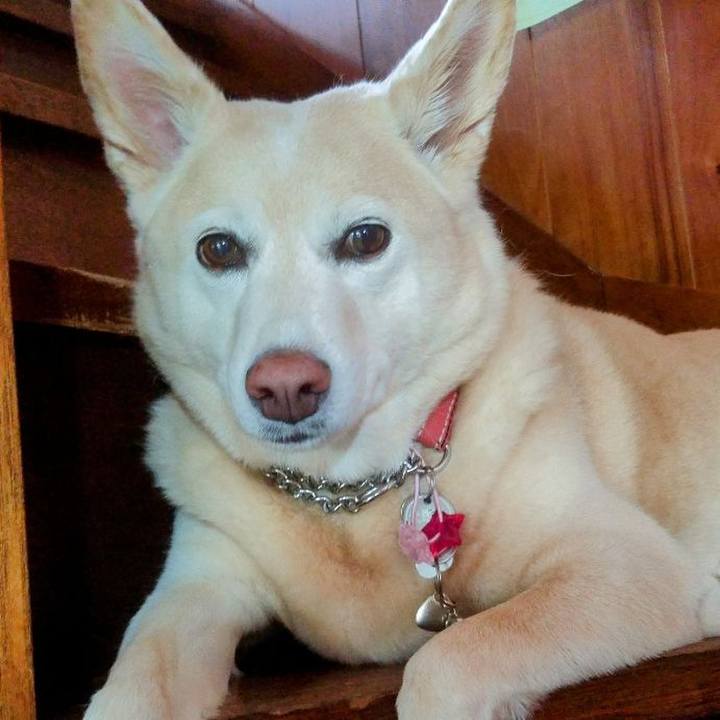 F77544ed 134b 4118 bcfa 8a53cc12a92f 1689405739084