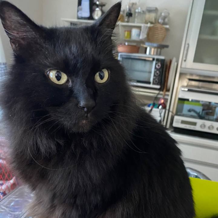 F775c69a e4a8 43b7 91fe d539b1679dad 1580371065142