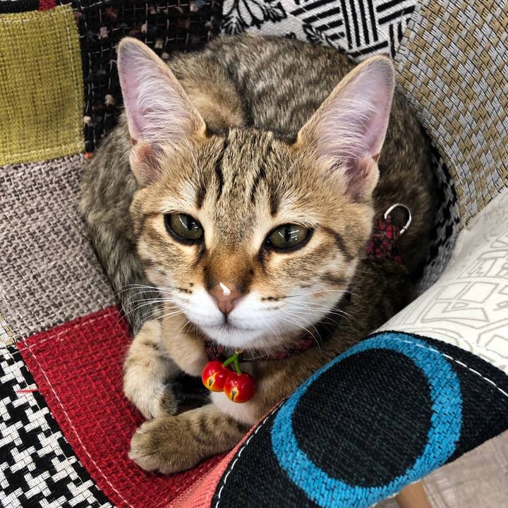 F775d98c 34f7 4b2c b8a4 45969a07b210 1580627975784