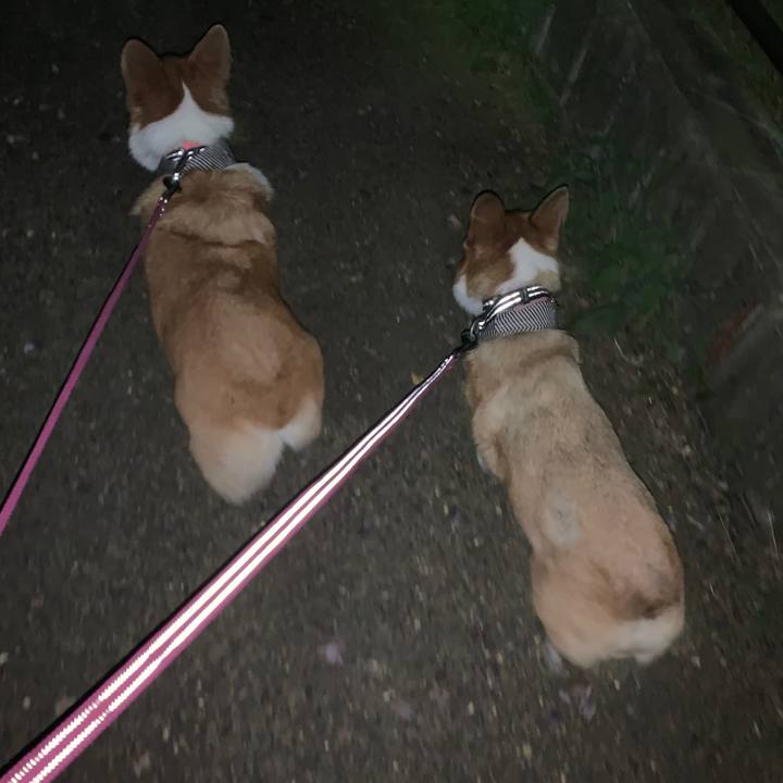 F775de98 956b 4359 b0d1 0878bbd4d104 1564923502512