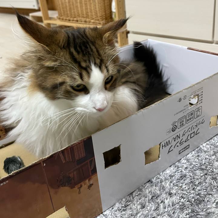 F775f907 bbcf 442c 9014 3fb4986d4444 1638791877520