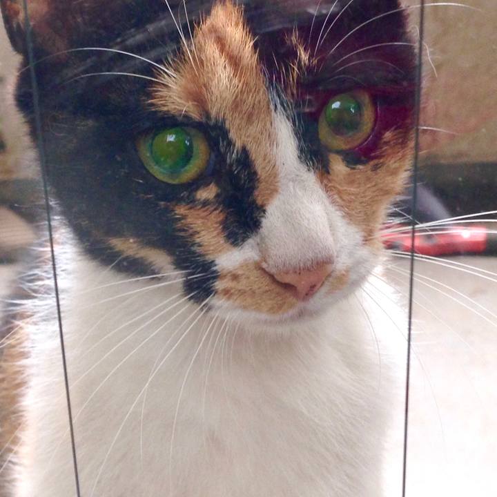 F77619ab 3c5f 4cb1 ac2a 6772df6f9369 1583714792039