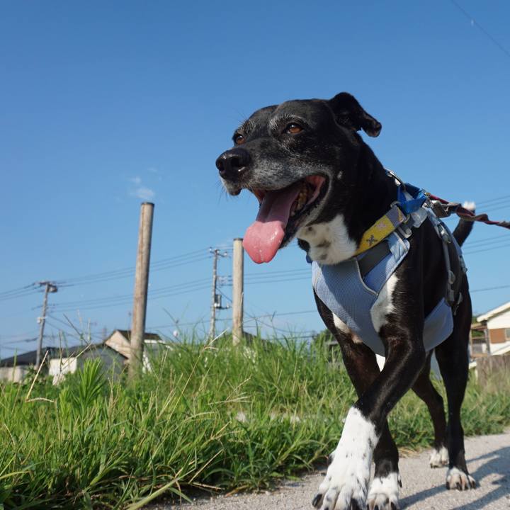 F776268d c5db 4f9b 80cd 4a3376a6c43b 1755733148895