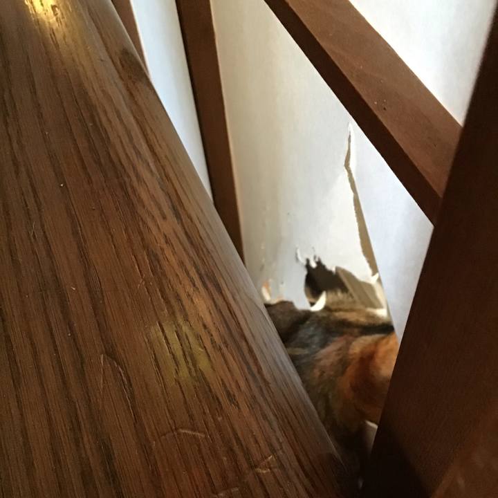 F7762a1b 61a7 4eb8 9ad9 96842921c515 1645950390675