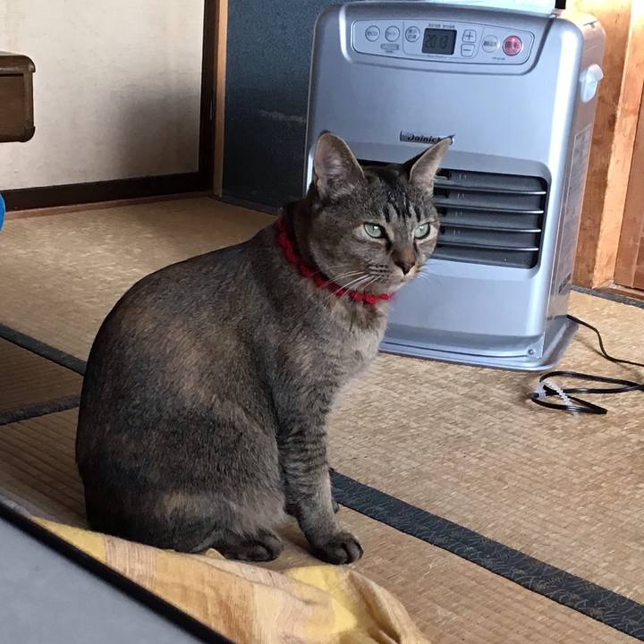 F7763b79 460c 4a55 828c 0a3f9ebe184e 1613783278985