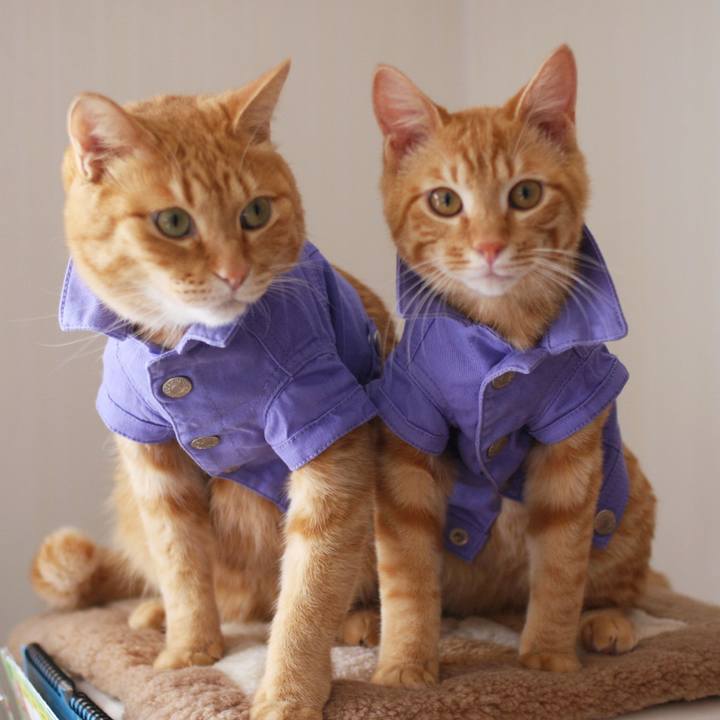 F7765e3d d135 4191 8961 7f753610b71c 1722779308579